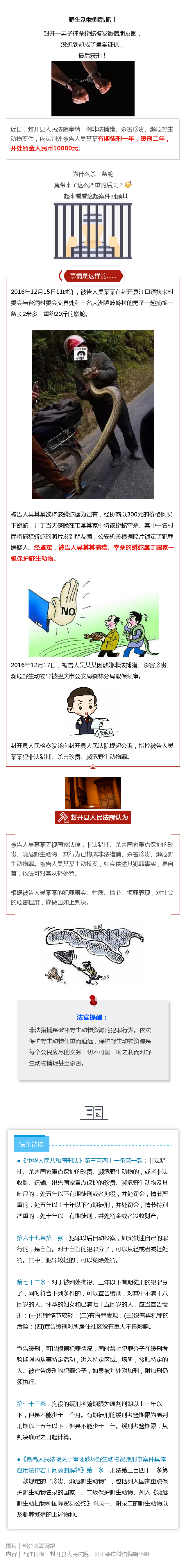 封开蟒蛇.png